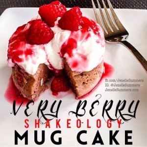 Mug Cake Recipe