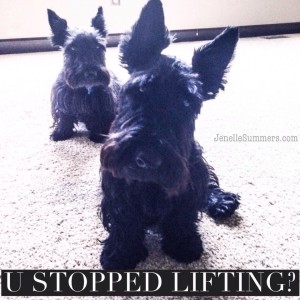You Stopped Lifting?